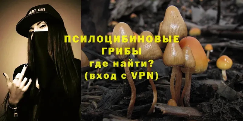 даркнет состав  хочу наркоту  Ульяновск  Псилоцибиновые грибы Psilocybe 